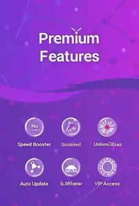 Premium Features of lulubox Pro APK