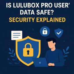 Lulubox Pro data security inquiry.